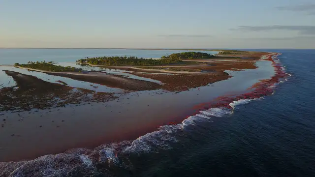 Zatoka w atolu: Tajemnice raf i piękno lagun, które musisz znać