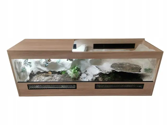 Ile kosztuje terrarium dla żółwia? Sprawdź koszty i budżet