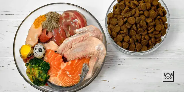 Dieta domowa dla psa alergika: Przepisy, składniki, suplementacja