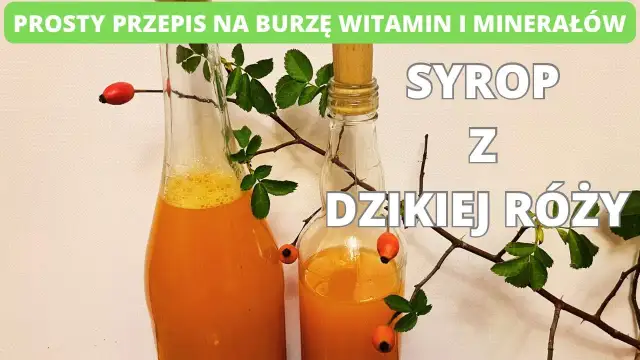 Jak zrobić sok z dzikiej róży? Pełny poradnik na zimową odporność.