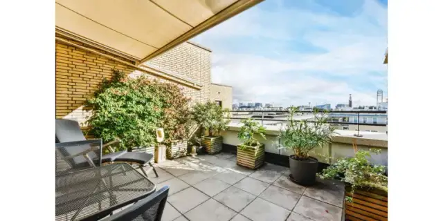 Jakie rośliny do dużych donic na taras? Stwórz piękne aranżacje