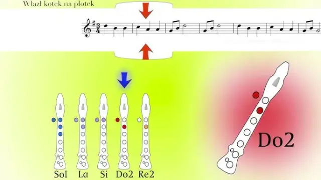Jak zagrać wlazł kotek na płotek na cymbałkach - proste kroki dla początkujących