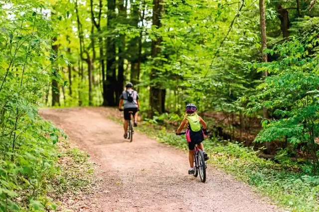 Najlepsze trasy rowerowe w Wielkopolsce - odkryj piękno regionu
