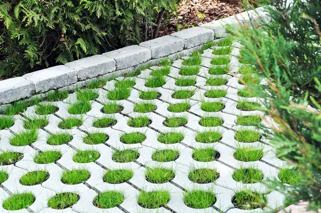 Podjazd z płyt ażurowych: Zbuduj go sam! Kompletny poradnik DIY