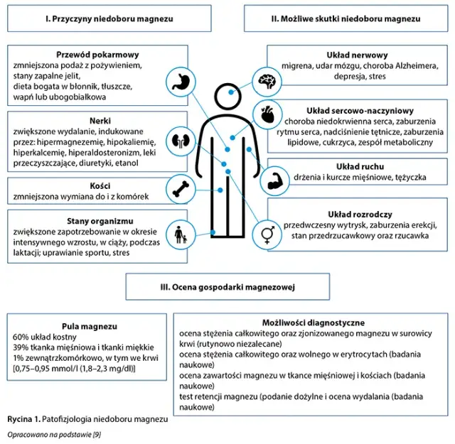 Magnez: Pierwiastek spokoju. Jak niedobór wpływa na psychikę?