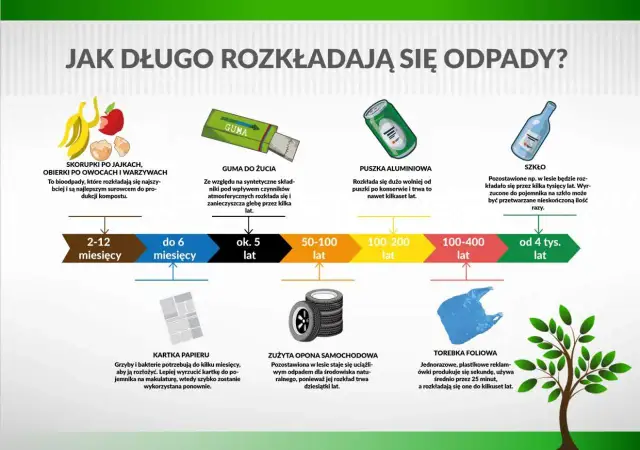 Zaskakujący czas rozkładu odpadów: Co możesz zrobić?