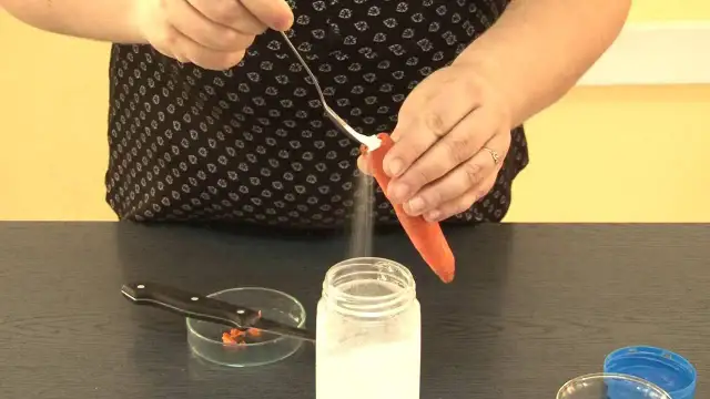 Co to osmoza w biologii? Klucz do zrozumienia życia komórkowego