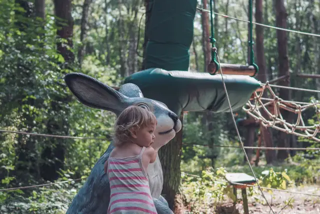 Park linowy Warszawa: Jak wybrać najlepszy dla dziecka? Porady Toli