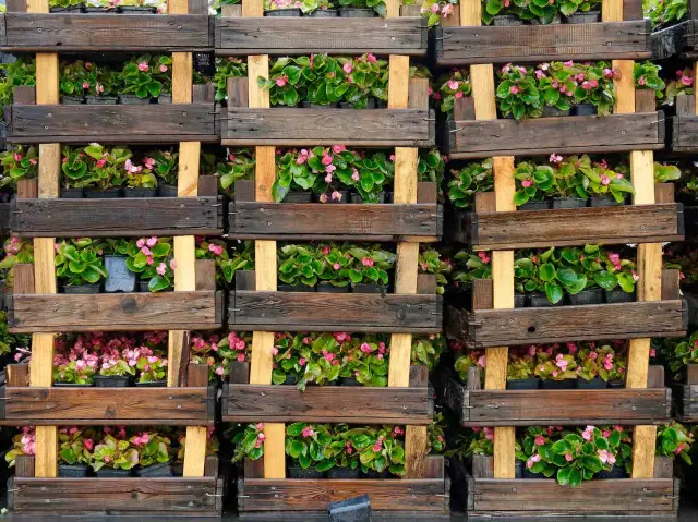 Kwietnik na ścianę DIY: Praktyczny poradnik krok po kroku