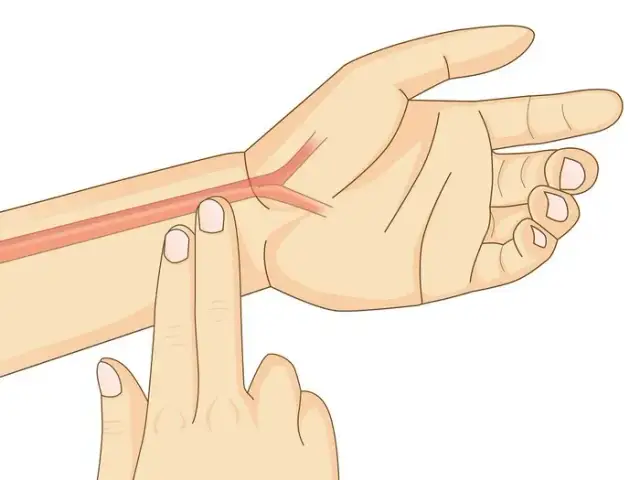 Jak zmierzyć puls? Sprawdź normy i dowiedz się, co oznaczają