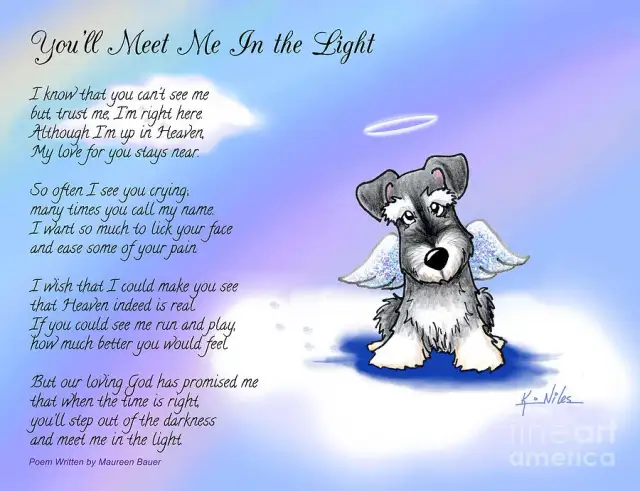 Strata psa? Tęczowy Most i słowa, które leczą Twoje serce