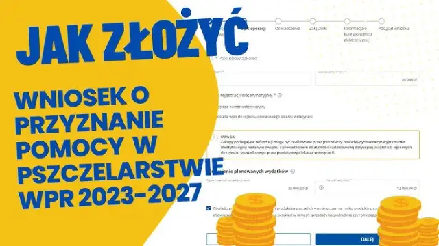 Jak założyć pasiekę dofinansowanie - uniknij błędów i zyskaj wsparcie