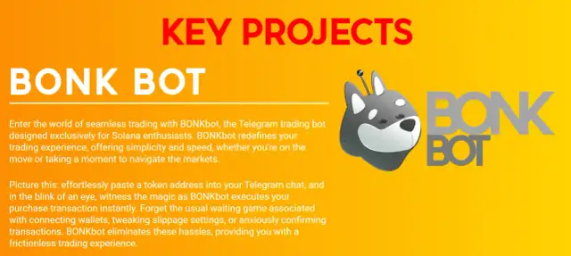 Bonk (BONK): Czym jest memecoin na Solana? Zrozum go!