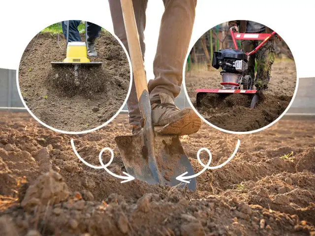 Glebogryzarka co robi? Odkryj jej niezwykłe funkcje w ogrodzie