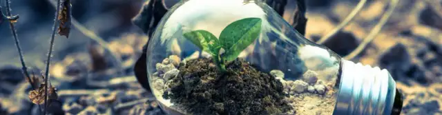 Ochrona środowiska – atrakcyjne oferty pracy w branży