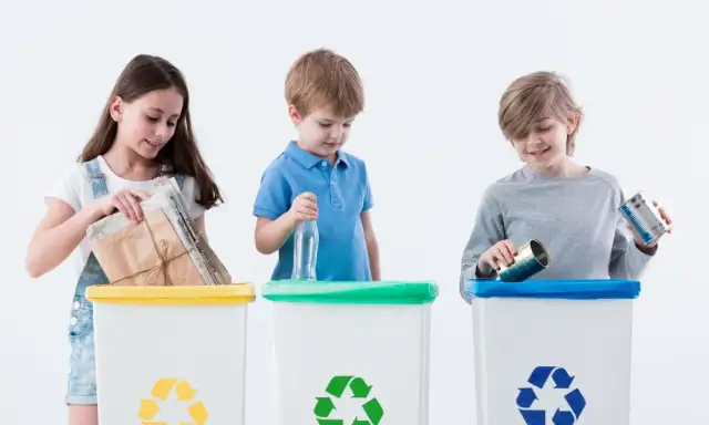 Jak selekcjonować śmieci, aby uniknąć błędów i zwiększyć recycling