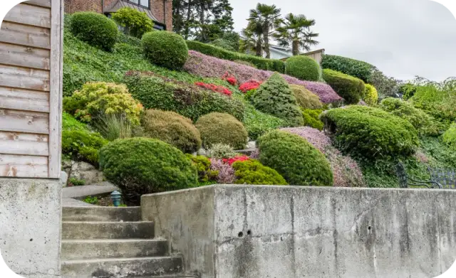 Jakie rośliny na skarpę przy tarasie? Sprawdź najlepsze opcje i uniknij błędów!