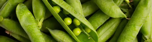 Czy groch ma gluten? Odkryj, dlaczego jest bezpieczny dla Ciebie