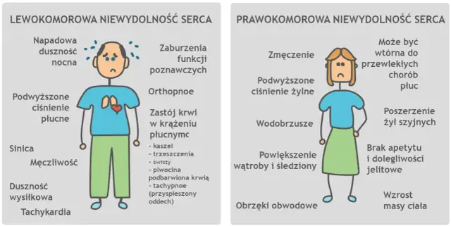 Niewydolność serca objawy – jak je rozpoznać i kiedy szukać pomocy