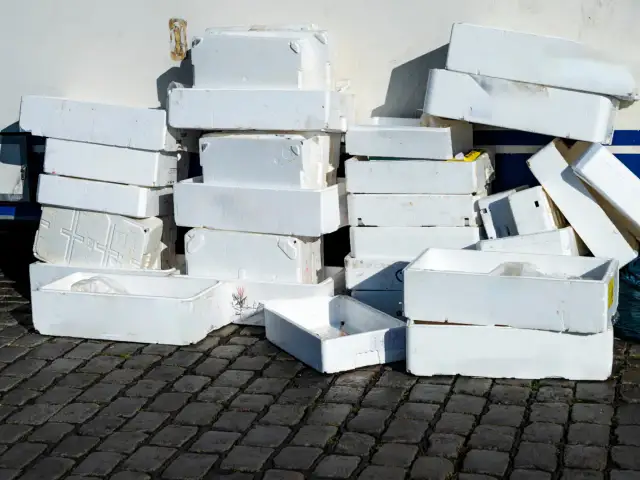 Gdzie wyrzucić styropian po jedzeniu, aby nie szkodzić środowisku?