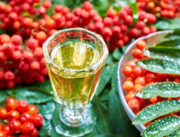 Jak zrobić nalewkę z jarzębiny - prosty przepis na wyjątkowy trunek