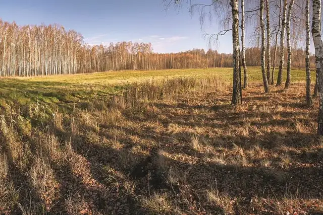 Kiedy nowelizacja ustawy o obrocie ziemią rolną wprowadza zmiany?