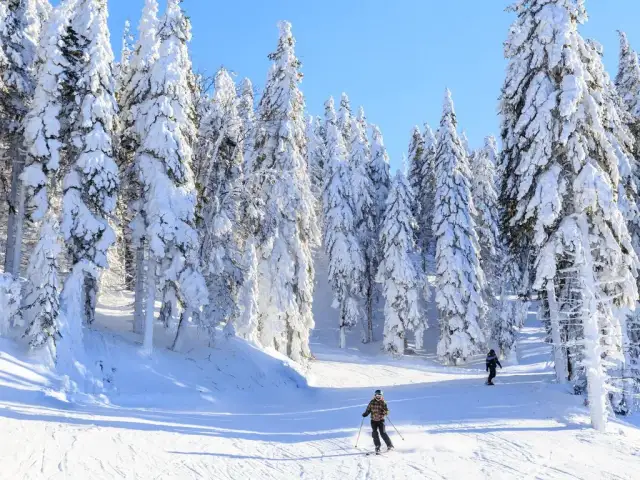 Gdzie na narty w Polsce bez tłoku? Odkryj spokojne ośrodki narciarskie