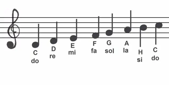 Jak wyglądają nuty na pięciolinii i co oznaczają w muzyce