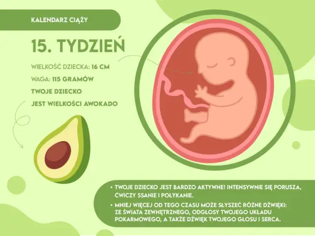 16. tydzień ciąży: Awokado w brzuchu! Co dzieje się z Tobą i dzieckiem?