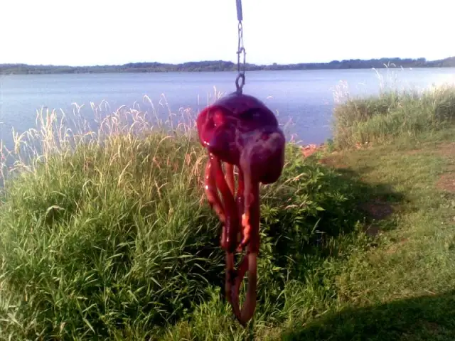 Jak założyć wątróbkę na haczyk, by uniknąć najczęstszych błędów