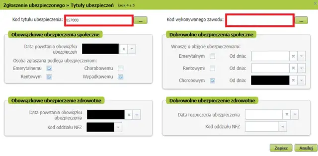 ZUS na pół etatu: Ile płacisz i co zyskujesz? Pełny przewodnik