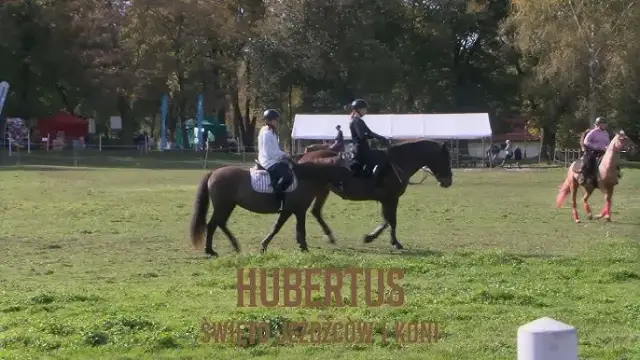 Hubertus jeździectwo: tradycje, przygotowania i emocjonujące wydarzenia