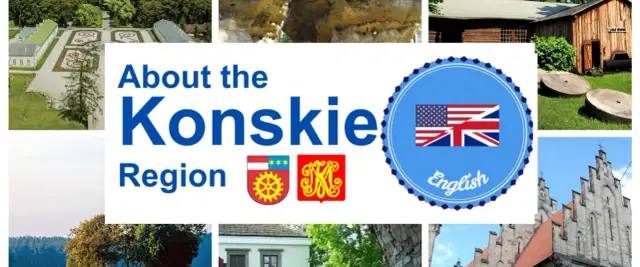 Najlepsze końskie atrakcje, które musisz zobaczyć podczas wizyty