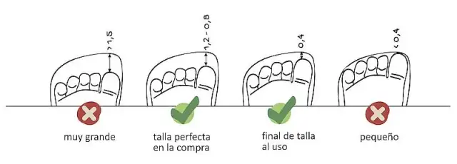 ¿Zapato Feroz adulto? Descubre cómo elegir tu talla y beneficios