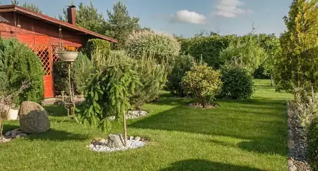 Pielęgnacja Ogrodów: Jakie Są Ceny? Zadbaj o Zieleń Bez Stresu
