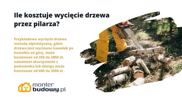 Drwal w żółtym ubraniu tnie piłą mechaniczną drewno na kawałki.