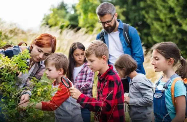 Ile zarabia wychowawca na kolonii? Zaskakujące różnice w wynagrodzeniu