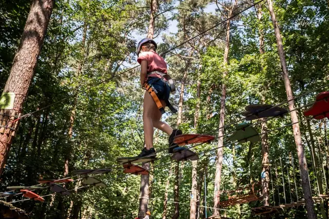Park linowy Pomiechówek: Dolina Wkry przewodnik rodzinnych przygód