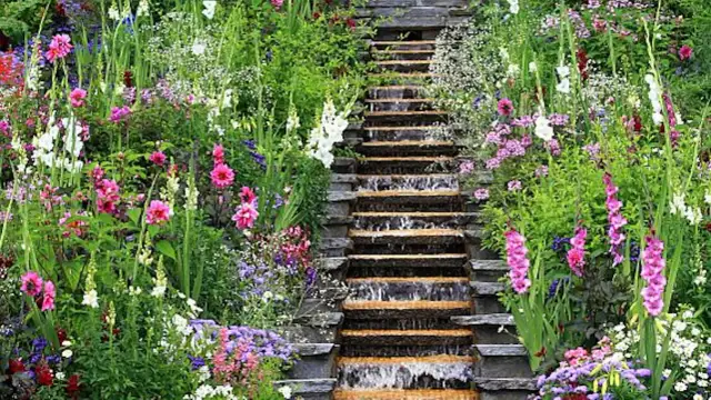 Słaba gleba to atut! Rośliny bulwiaste, które pokochają Twój ogród