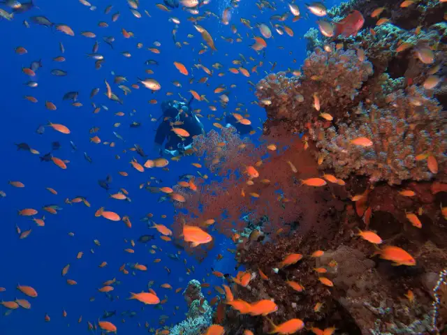 Morze Czerwone - gdzie jest i jakie ma sąsiednie kraje?