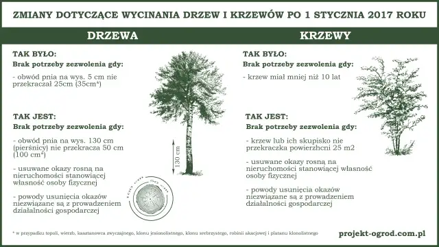 Ilustracja drzewa i krzewu z wymiarami obwodu pnia i powierzchni krzewu.