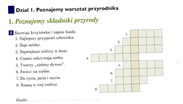 Wino jak drzewo – odkryj tajemnice krzyżówek i odpowiedzi