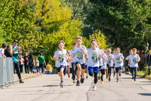 Najlepsze atrakcje w Tarczynie, które musisz zobaczyć i przeżyć