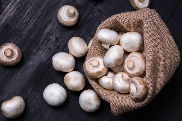 Czy pieczarki są zdrowe? Poznaj ich niezwykłe właściwości zdrowotne