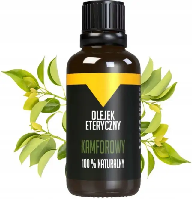 Gdzie kupić olejek kamforowy? Najlepsze miejsca, ceny i zastosowania