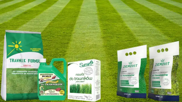 Jaki nawóz do trawy na wiosnę? 7 kluczowych wskazówek