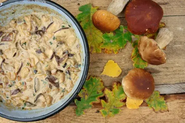 Z czym sos grzybowy? Odkryj najlepsze dania do podania