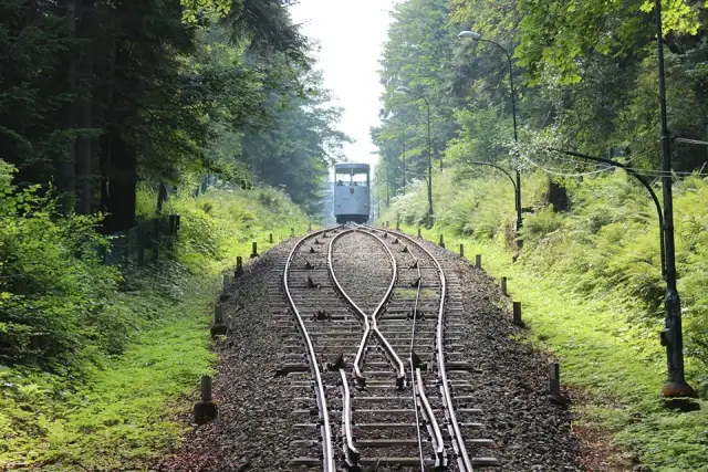 Szlaki Góry Parkowej: Które wybrać na rodzinny spacer? Rady!