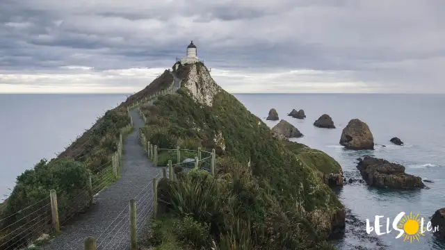 Czy w Nowej Zelandii jest bezpiecznie? Poznaj realia i zagrożenia podróży.