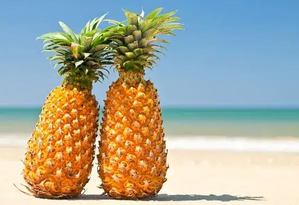 Ile kcal ma ananas? Poznaj wartość kaloryczną tego owocu